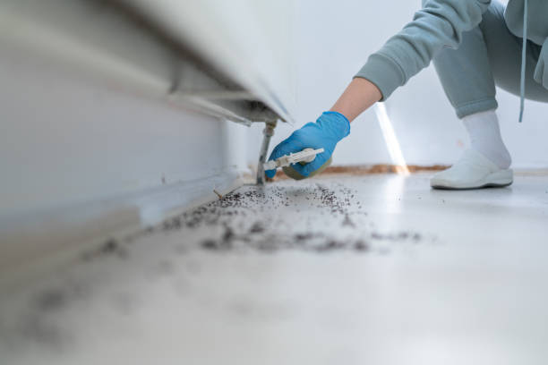 Best Affordable Pest Control Services  in , WI